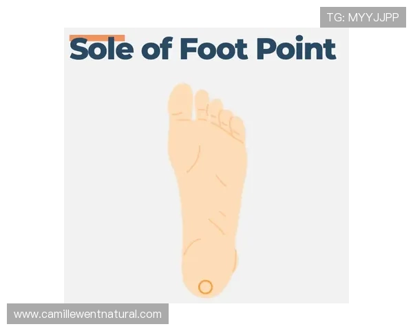 PA入口的详细操作指南帮助新手快速掌握PA入口的使用方法