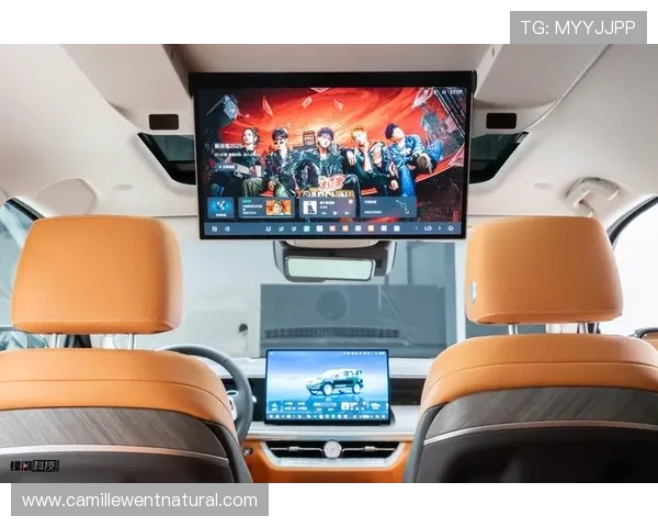 w66利来ag旗舰:开启全新娱乐体验的最佳选择