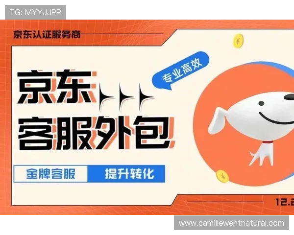 优化AG电游登录线路的实用技巧,有效降低登录失败率提升用户满意度