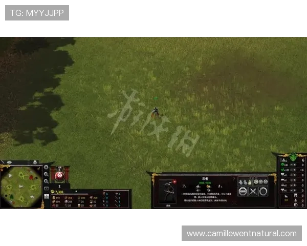 全面解析ag视讯竞咪厅的操作流程与技巧，助你轻松赢取丰厚奖励