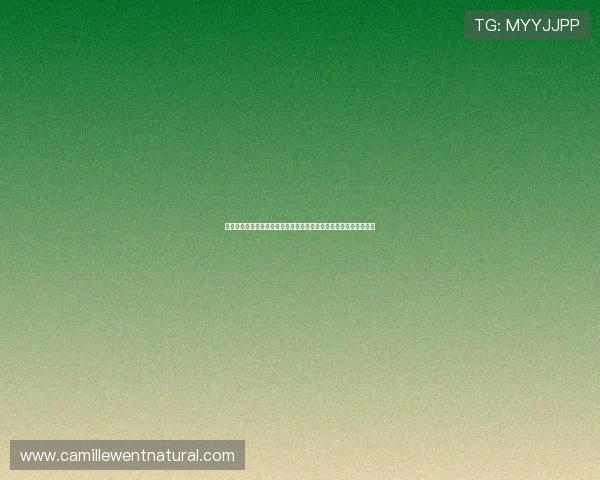 凯发开户流程详解图片：详细流程图解让你轻松理解每一步开户细节