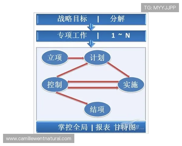 如何选择适合企业的PA平台以提升运营效率和数据管理能力