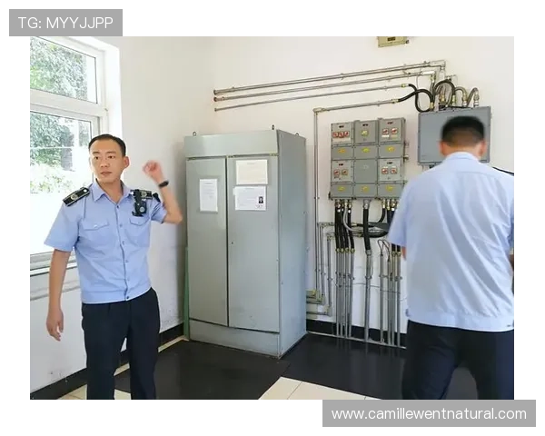 云顶4008集团app安全登录与账号保护措施，保障用户信息安全与财产安全