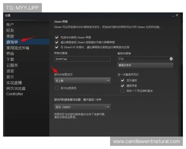 AG电子官方下载遇到问题怎么办？常见故障排查与技术支持全攻略