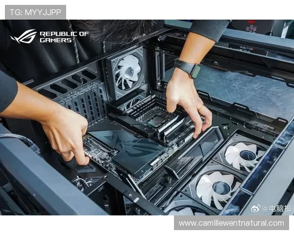 三亿真人玩家共同见证的年度盛事，带你领略最真实的游戏体验与玩家互动