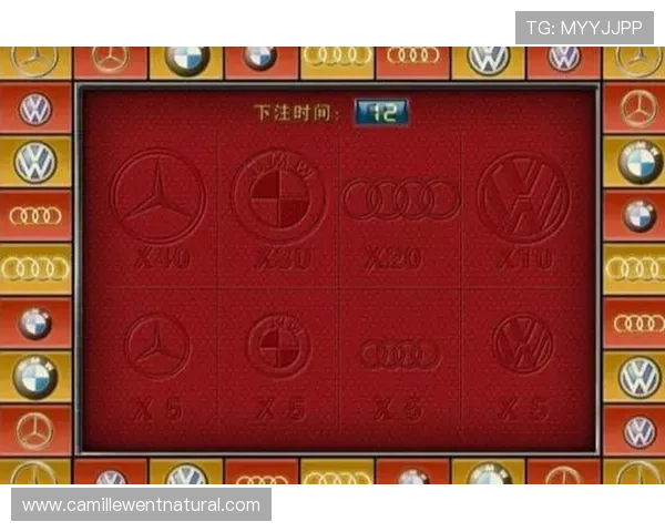 深入分析百家乐游戏的规则细节与玩法技巧，提升你的游戏水平与获胜几率