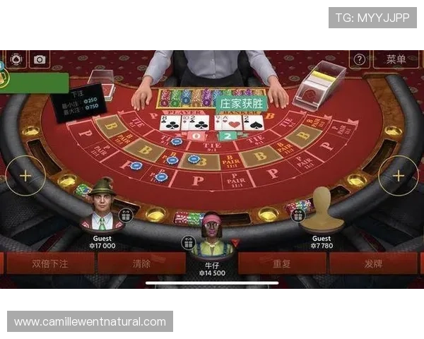 百家乐下载app免费版，随时随地享受专业百家乐游戏乐趣