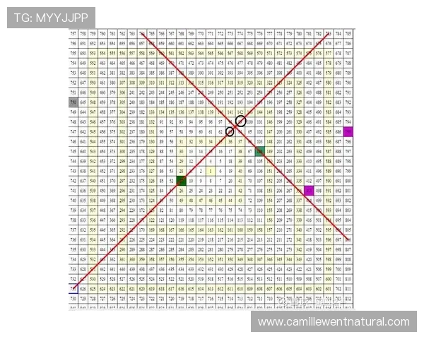 gqy视讯最新消息带你全面了解平台最新动态与未来发展趋势