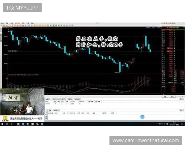 三株路下注策略详解助你提升游戏胜率与盈利技巧分析