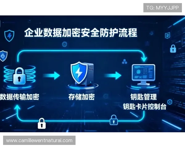 全面解析真人视讯平台的安全保障措施与用户隐私保护策略