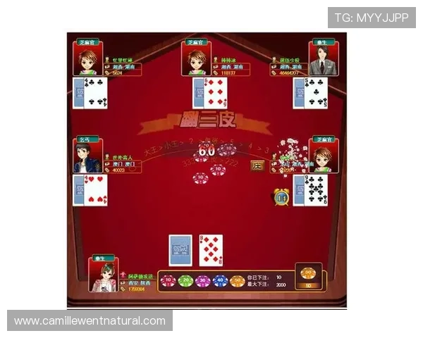 百家樂完美對子玩法入门到精通，帮助新手快速掌握玩法技巧实现盈利目标