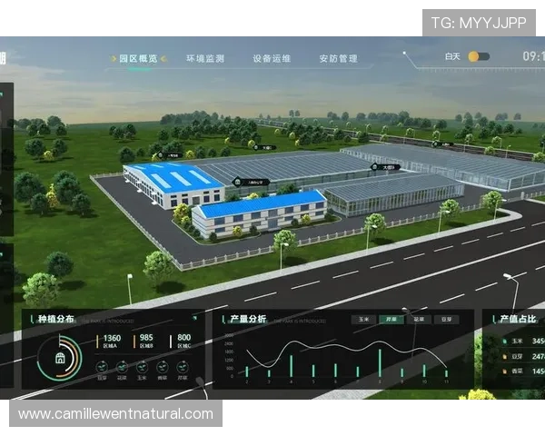 dg视讯维护系统升级与优化方案助力平台持续创新与发展