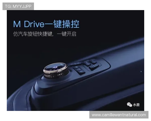 稳定安全的OG真人手机版官网入口，保障玩家账号信息与资金安全