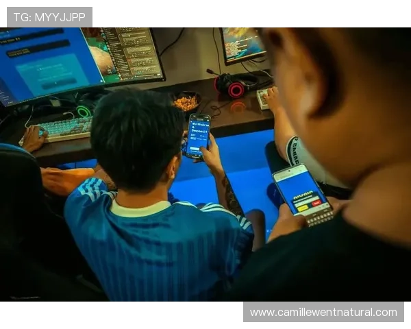 线上真人国际平台如何保障玩家隐私安全实现无忧游戏体验