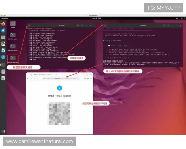 关于PA真人游戏官网的全面指南帮助玩家轻松上手畅享高品质真人娱乐体验