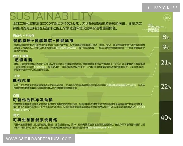 详解百家乐必赢法则，帮助玩家制定科学的投注策略实现稳健盈利
