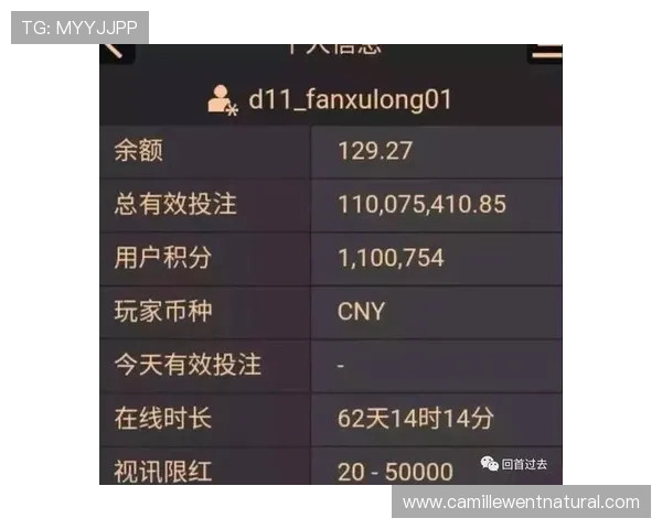 选择AG国际百家乐官网的理由，专业安全保障与优质游戏体验全面解析