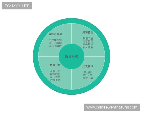 AG视讯合作平台如何实现多渠道盈利与稳定发展的详细策略解析 AG视讯合作平台如何实现多渠道盈利与稳定发展的详细策略解析