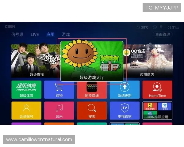 UG环球视讯官网提供的丰富游戏种类与最新优惠活动全面解析