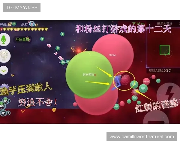 爱游戏真人主播直播间的互动技巧与粉丝维护策略详解
