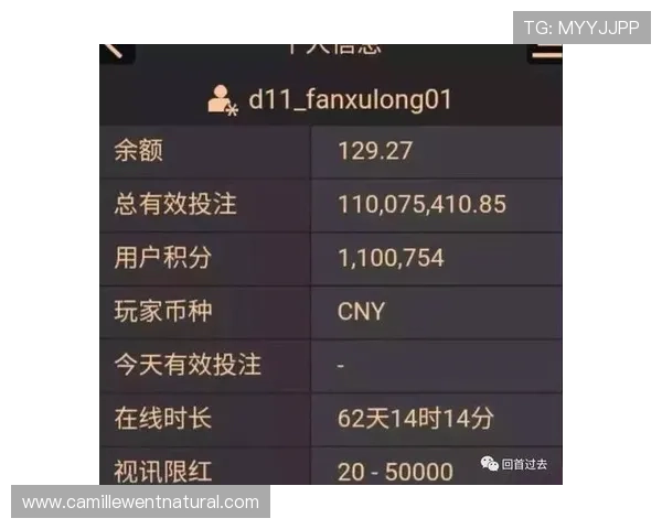 提升AG百家乐赢钱概率的策略与技巧全面解析 提升AG百家乐赢钱概率的策略与技巧全面解析