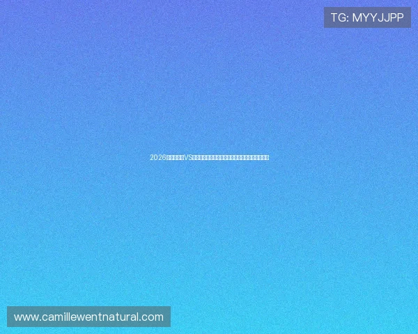 2026世界杯巴西VS海地比赛中进攻三区数据变化趋势与战术布局解析