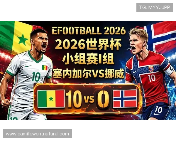 2026年世界杯挪威与塞内加尔比赛场地容量及其对比赛氛围的影响分析