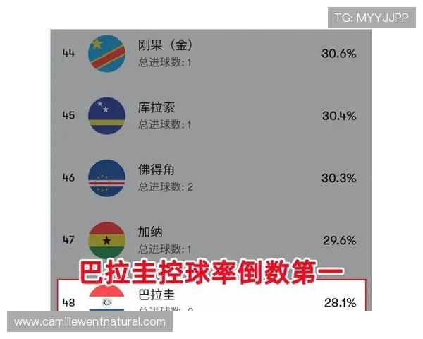 世界杯巴拉圭与澳大利亚比赛结果公布，赛后专家点评与数据分析