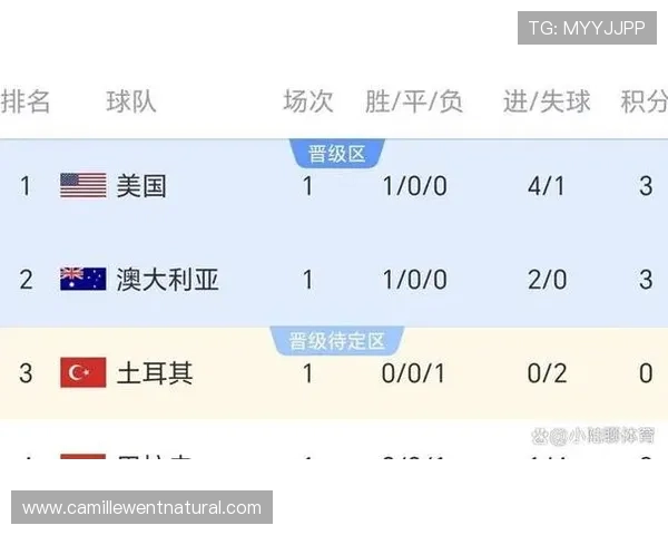 世界杯澳大利亚土耳其比赛全场比分及赛后数据统计与专家点评