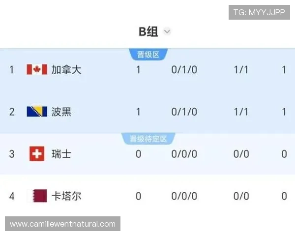 加拿大与波黑在世界杯出线形势中的关键战役及胜负影响因素